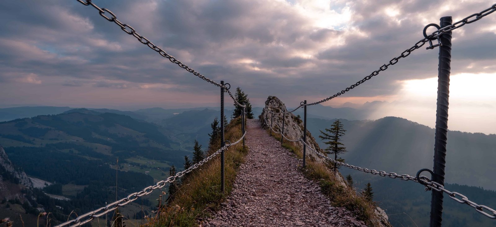 Google Nofollow Sponsored UGC Links